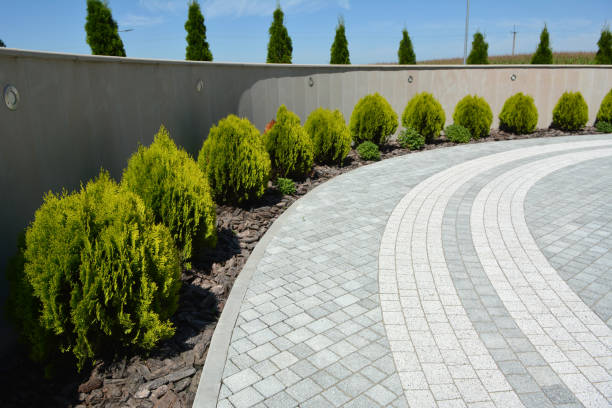 Best Residential Driveway Paver Services  in Lorenzo, TX